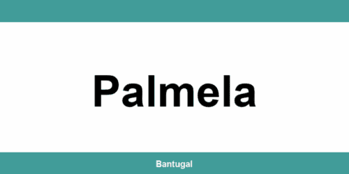 Contactos do Novo Banco em Palmela