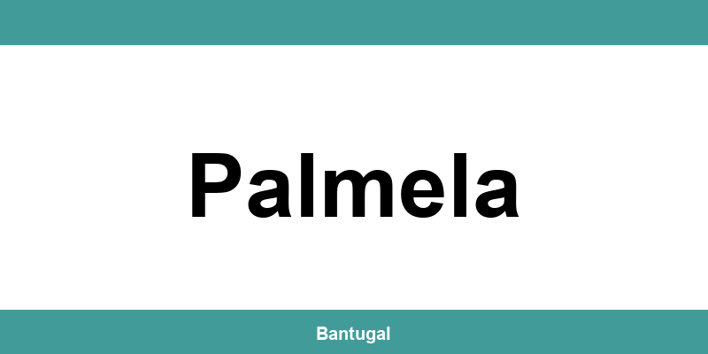 Contactos do Novo Banco em Palmela