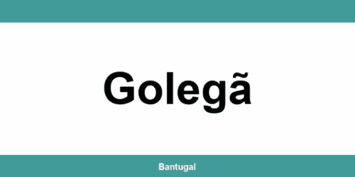 Contactos do Novo Banco em Golegã