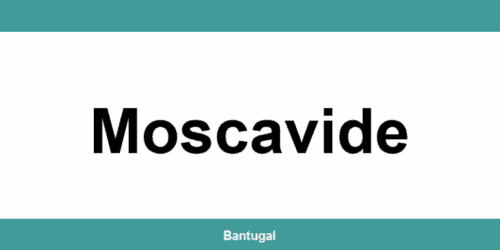 Contactos do Novo Banco em Moscavide