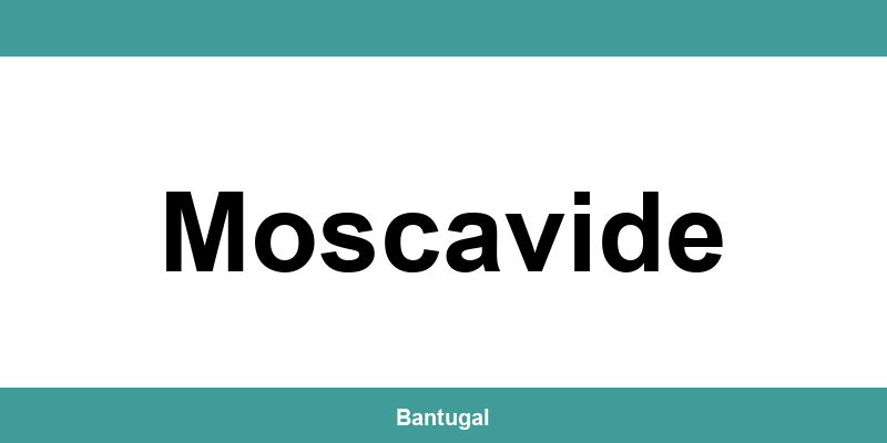 Contactos do Novo Banco em Moscavide