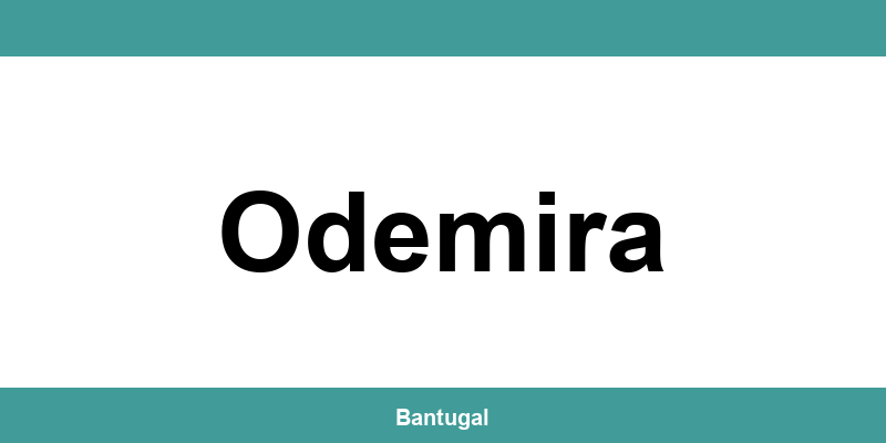 Contactos do Novo Banco em Odemira